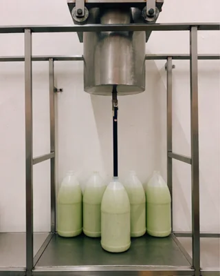 Llenado de salsa verde HERVI